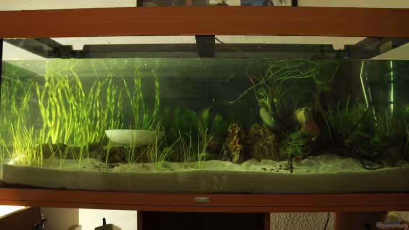 02.02.13 Wasser wird eingefüllt von David B (8)