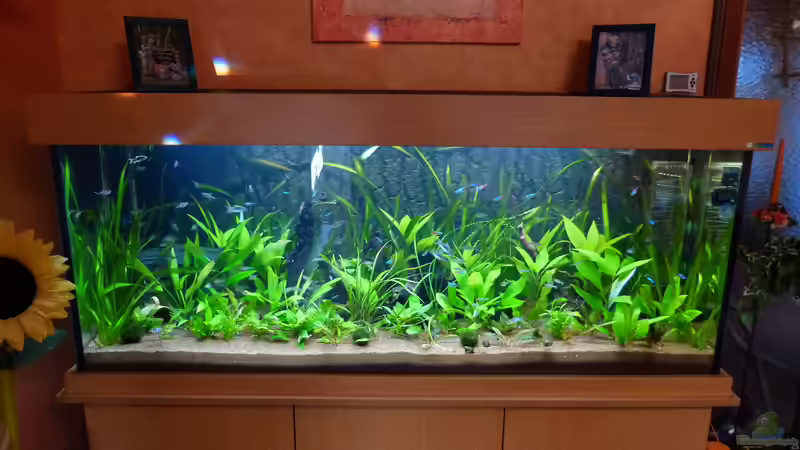 02.02.14 von Dieter (13)