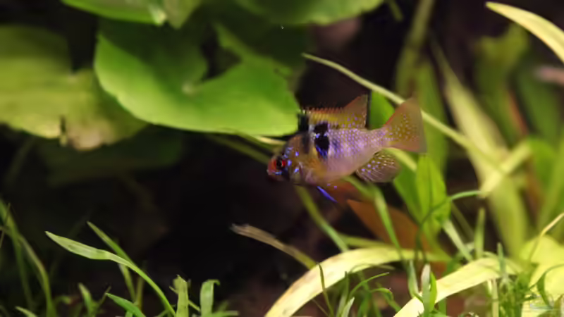 02.02.2010 von Maria Glas (3)