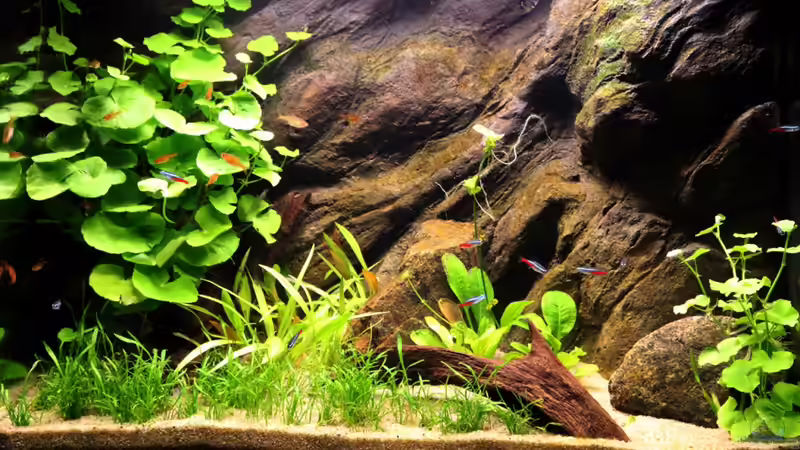 02.02.2010 von Maria Glas (4)