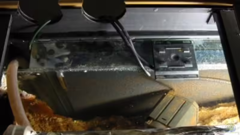 02.02.2011 - Filtermatte, abgedunkelte Beleuchtung von db (18)