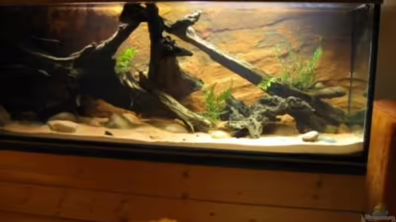 02.02.2011 - Rechte Seite von db (3)