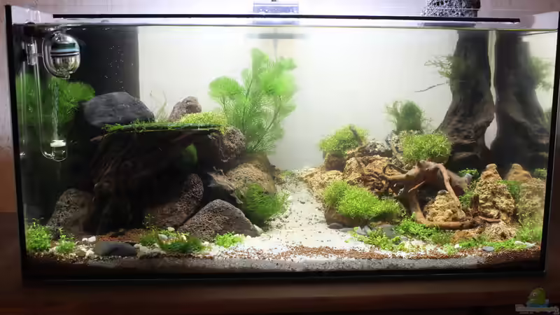 02.02.2015 von SouthAmerica (4)