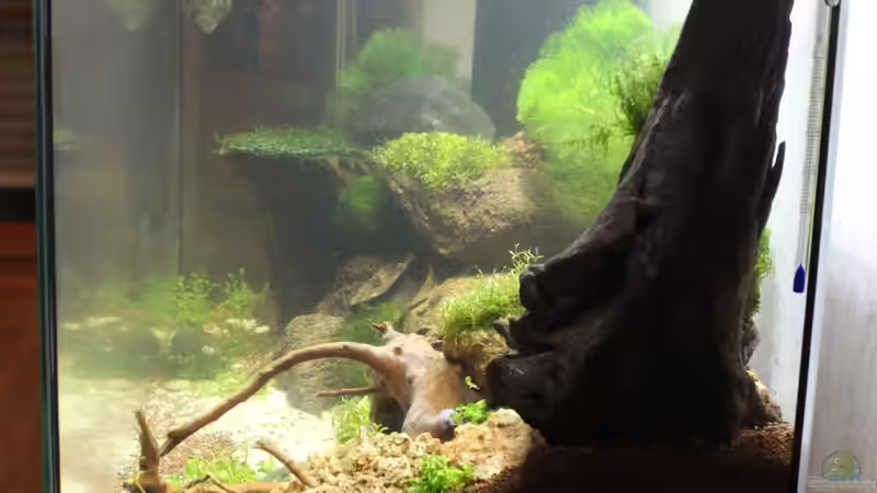 02.02.2015 von SouthAmerica (6)