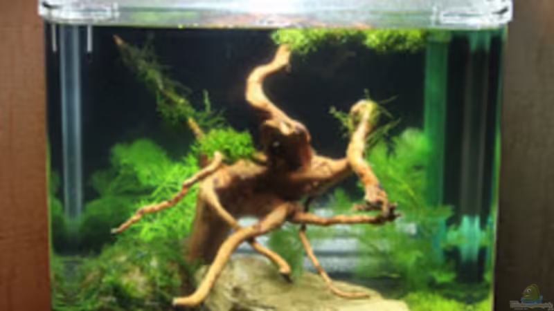 02.02.2015 von SouthAmerica (6)