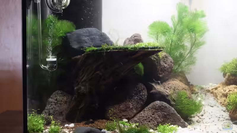 02.02.2015 von SouthAmerica (7)