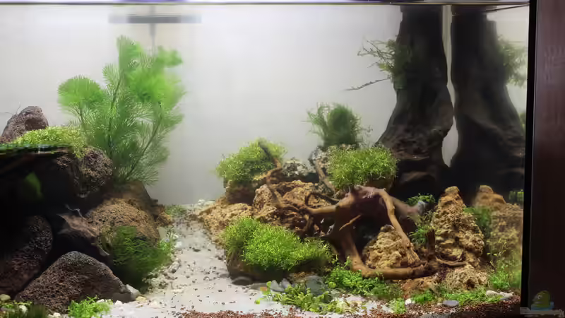 02.02.2015 von SouthAmerica (8)