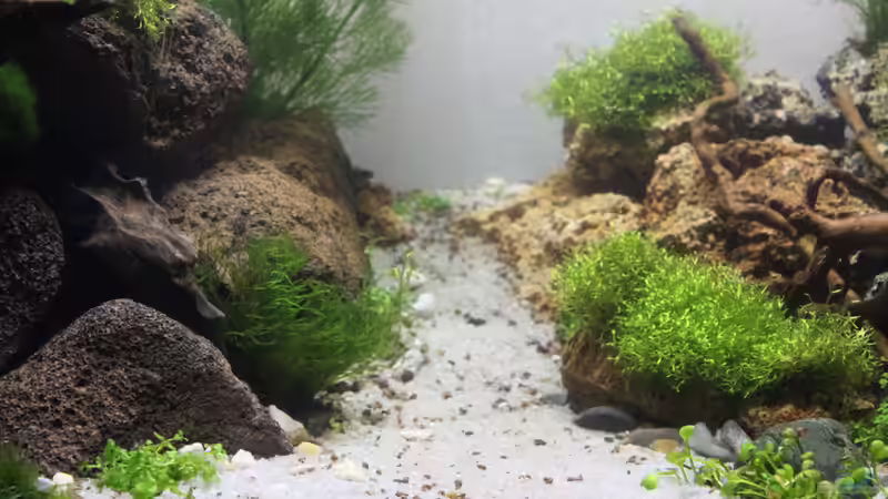 02.02.2015 von SouthAmerica (9)