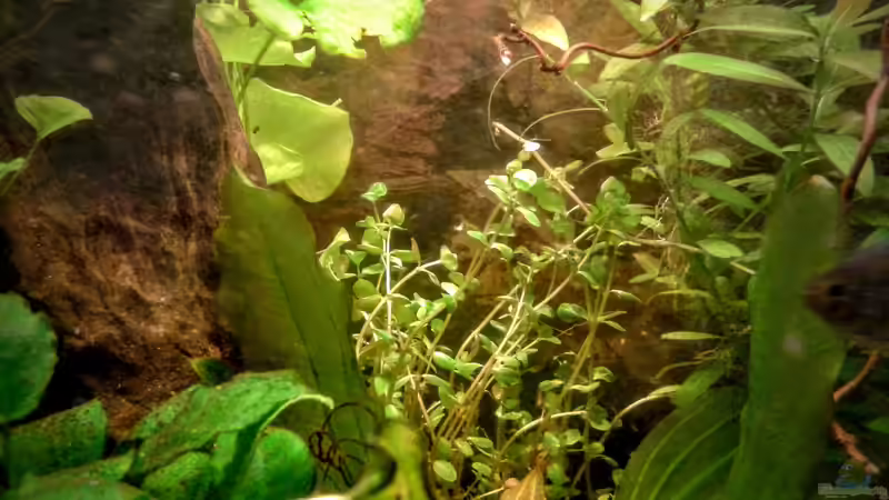 02.02.2016 von Ele Meer (13)