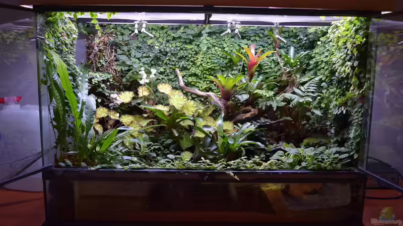 02.03.2016 von Junglist (46)