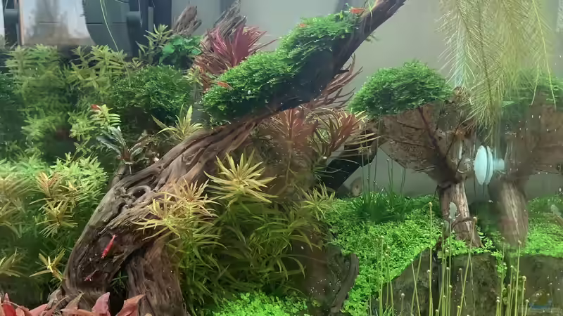 02.03.2021 von JPS (1)