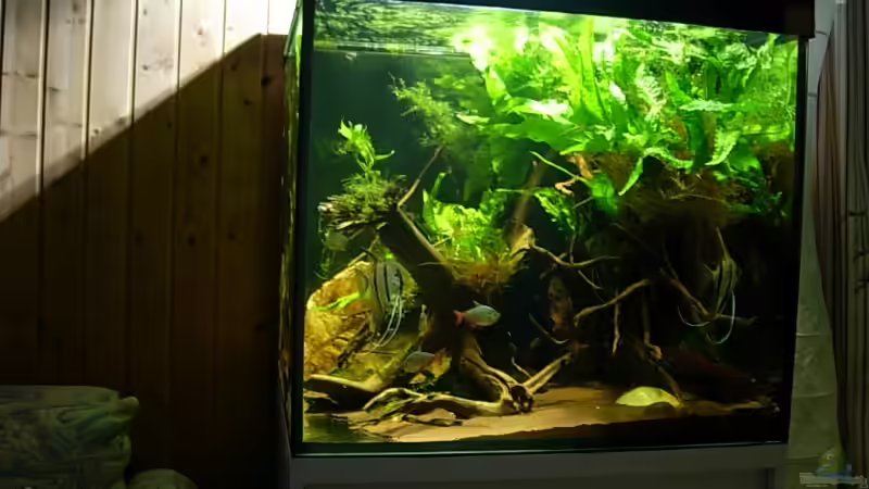 02.04.09 von Daniel_ (10)