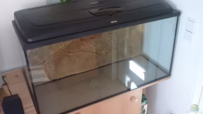 02.04.2009 warten das das Silikon getrocknet ist von EagleHunter (3)