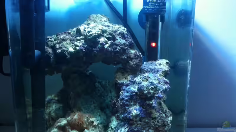 02.04.2012 von Sebastian Philipp (5)