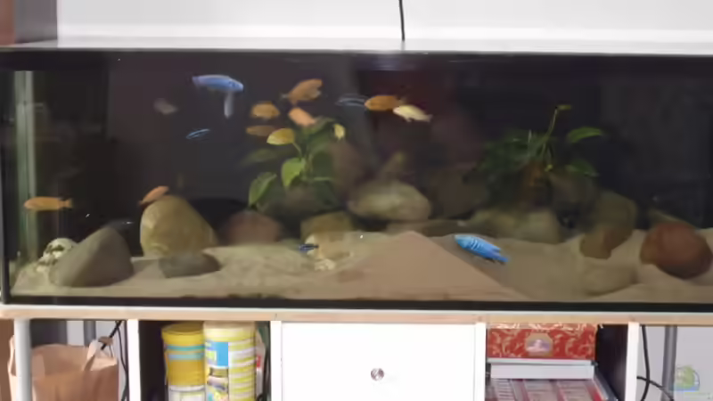 02.05.12 von Noah (3)