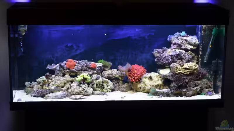 02.05.14Tag der Einrichtung von Brookshaw (11)