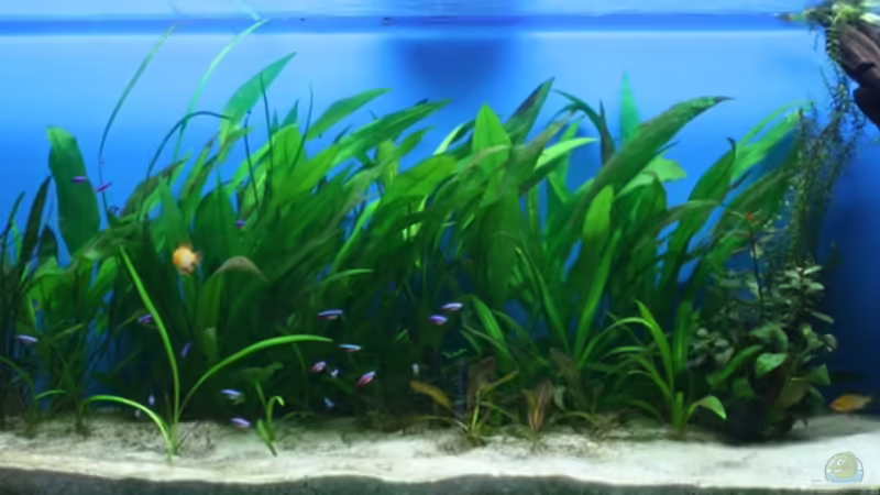 02.05.2010 von chrisreal (5)