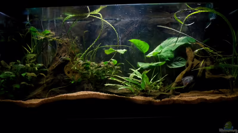 02.05.2012 von Koehler (7)