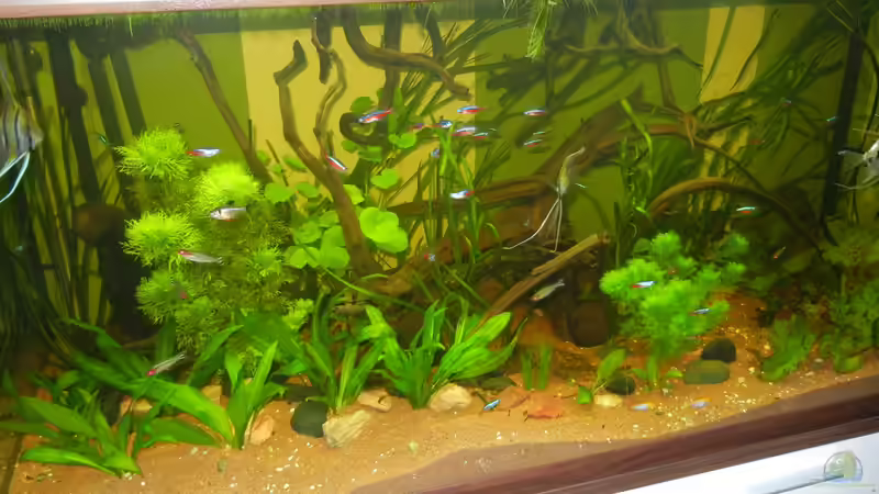 02.05.2012 von Life (2)