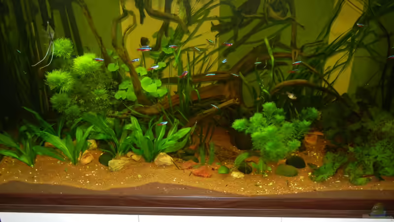 02.05.2012 von Life (4)