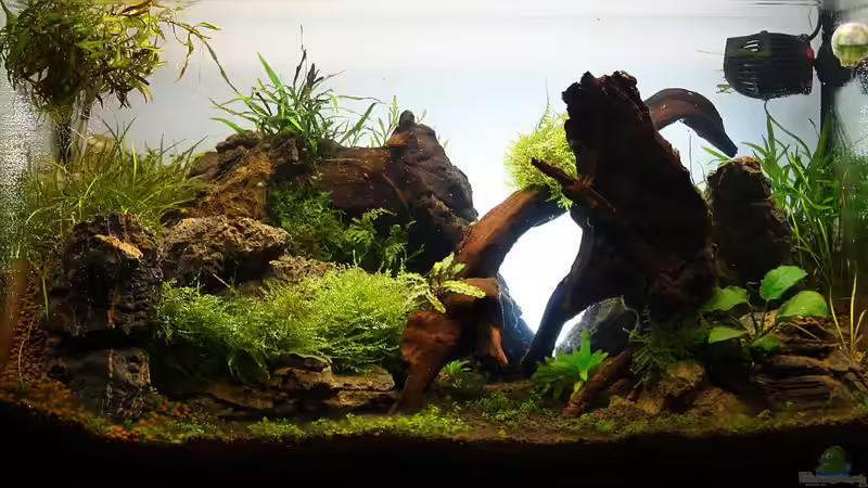 02.06.20112 von Jaime (2)