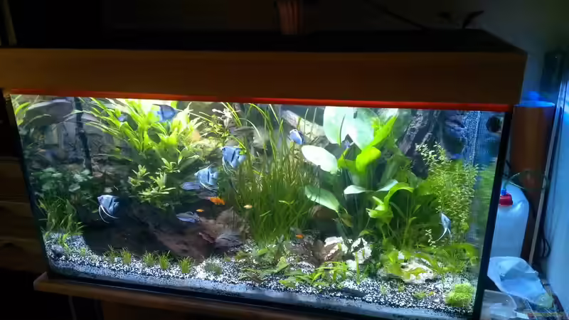 02.06.2014 von raubsau (27)