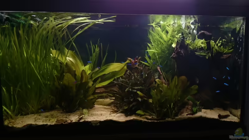 02.07.15  von -Mark- (7)