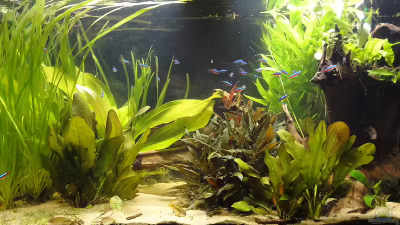 02.07.15 von -Mark- (8)