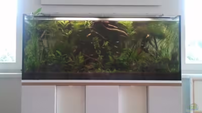 02.07.2012 - Gesamtansicht frontal von bergfrau (2)