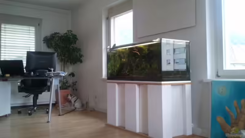 02.07.2012 - Gesamtansicht mit meiner Hündin und meinem Arbeitsplatz :-) von bergfrau (3)