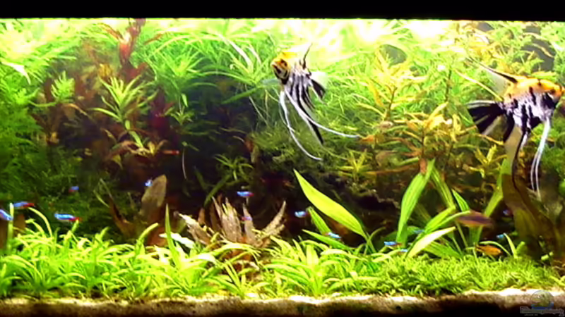 02.08.2010 von Susanne Kruse (1)