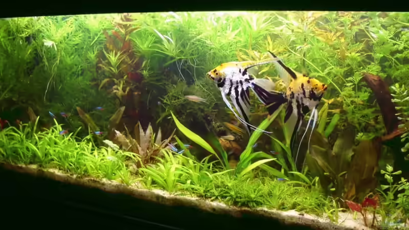 02.08.2010 von Susanne Kruse (2)