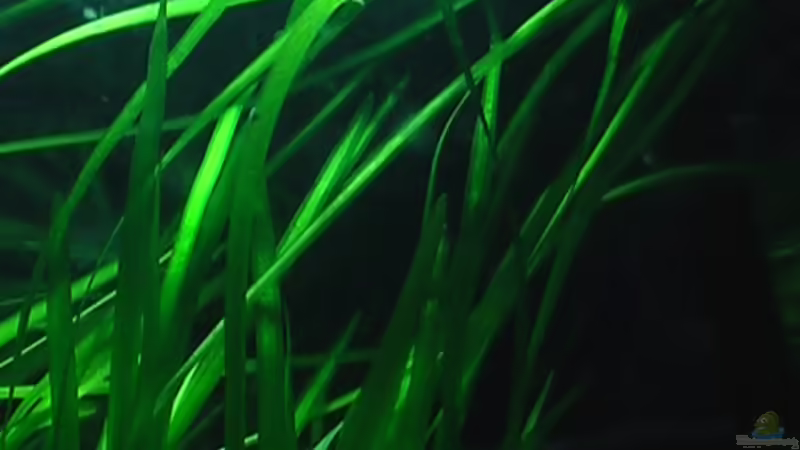 02.09.2010  von *Lucie* (29)