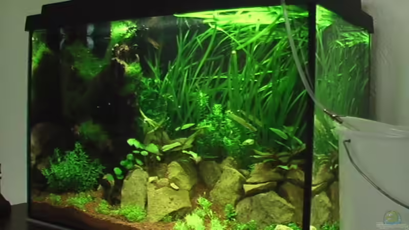 02.09.2010 ´Tröpfchenmethode´ von *Lucie* (37)