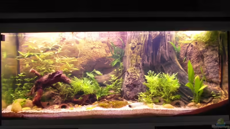 02.10.2013 von Intershrimpview (28)