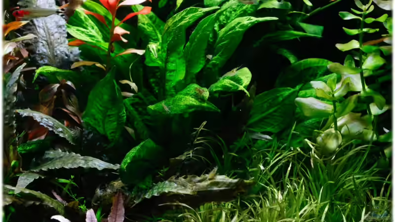 02.10.2013 von Ralf64 (78)