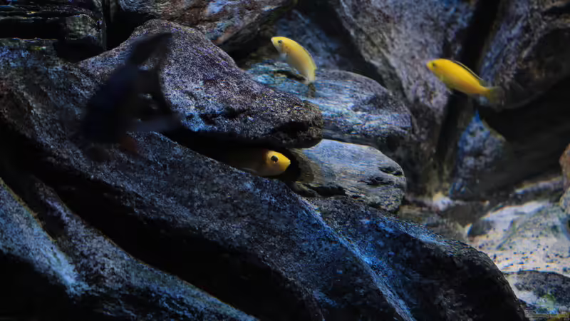 02.10.2014 von Marco O. (27)