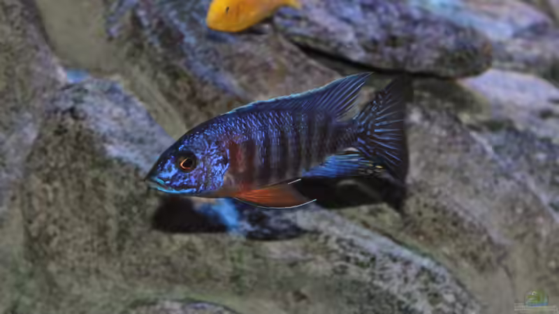 02.10.2014 von Marco O. (28)