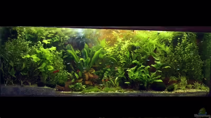 02.11.2013 von brimar67 (16)