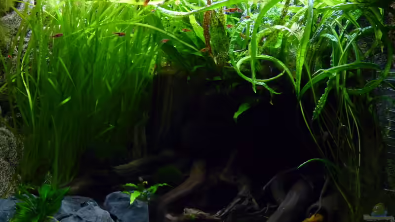 02.11.2013 von Steffen S. (3)