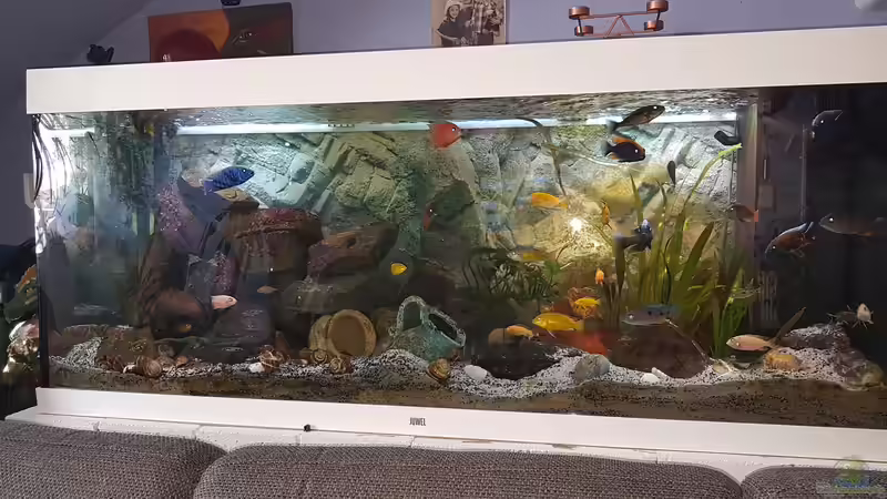 02.11.2018 von Kevin Engelsberger (5)