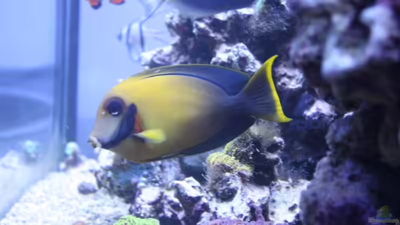 02.12.2009 von Stephan Ascher (63)