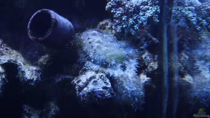 02.12.2009 von Stephan Ascher (64)