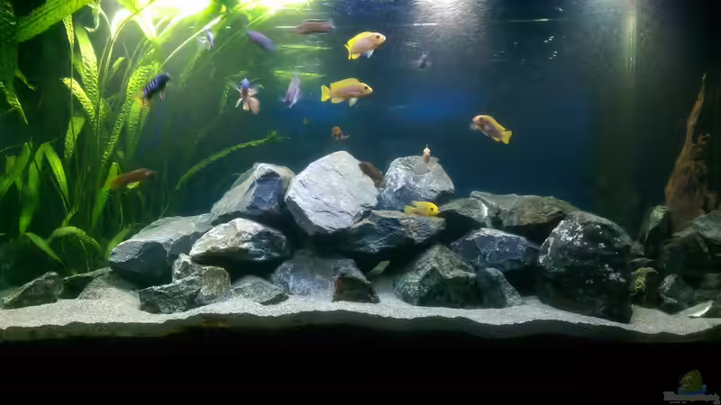 02.12.2014  von Fishes4Life (2)