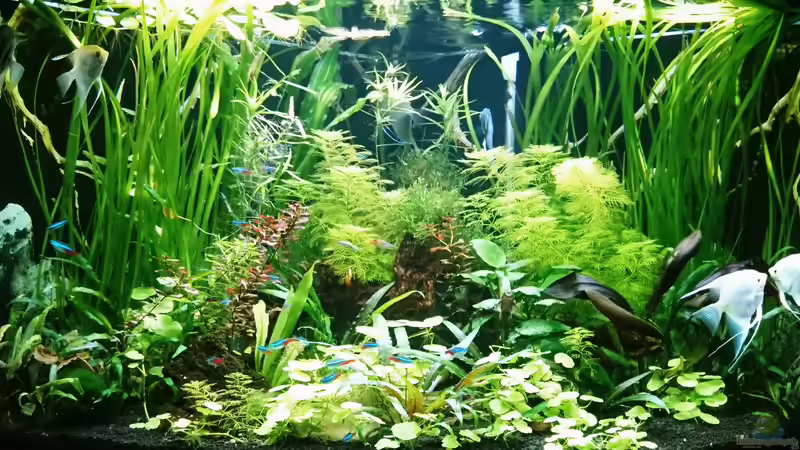 02.12.2018 von Helene (8)