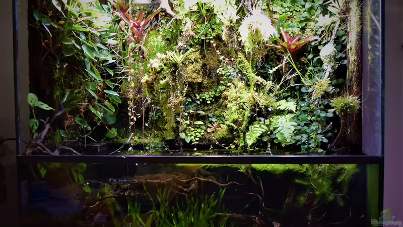 02.12.2018 von Junglist (10)