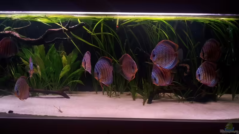 02.2013 von Dani B (21)