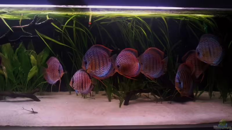 02.2013 von Dani B (22)