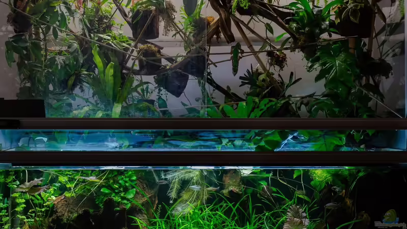 02/2015 von fischgarage (7)