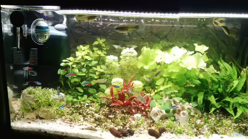 02/2021 von KleinerFisch (6)